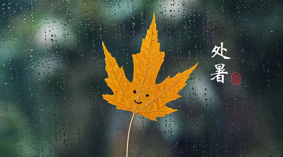 今日處暑，暑去涼來